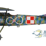 Fokker Idzikowskiego "nieskończoność"