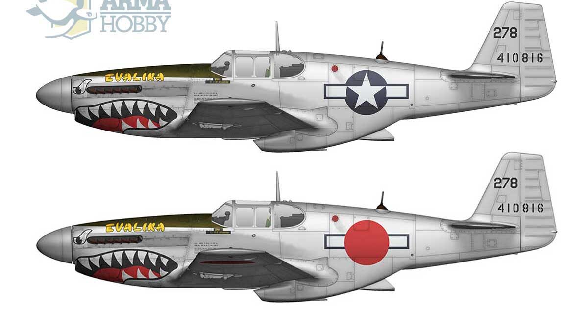 Zmienne dzieje samolotu P-51C Mustang „Evalina”