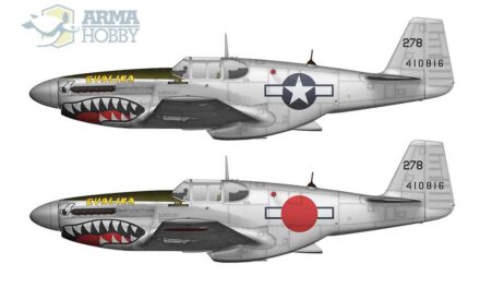 The Chequered Fate of the P-51C Mustang Called “Evalina”