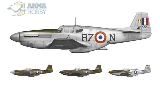 F-6C Mustang Expert Set – Painting and Marking Schemes