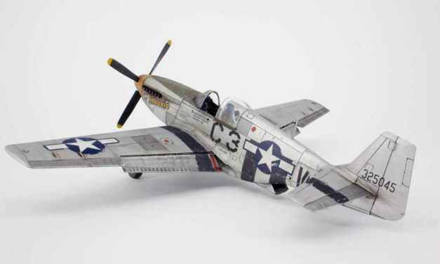 P-51 C Mustang „Snookie” – galeria – Adrian „Evelion”