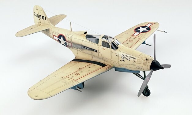 1/48 Airacobra in a coral uniform