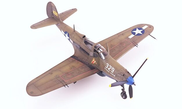 P-39N Airacobra – Gallery – Zbyszek Malicki