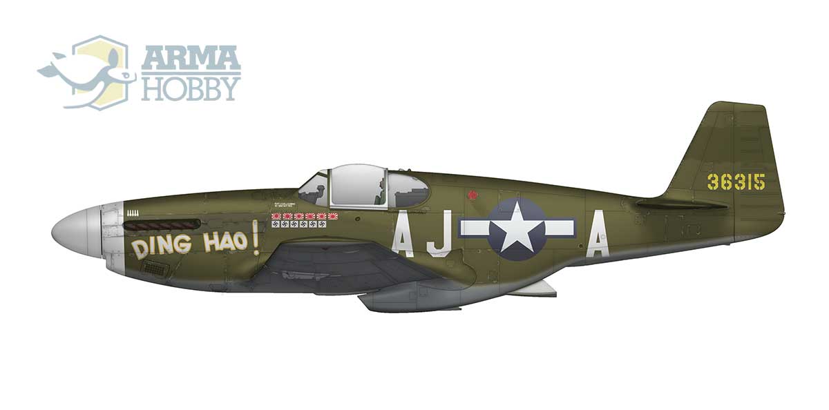 P51 camo on sale