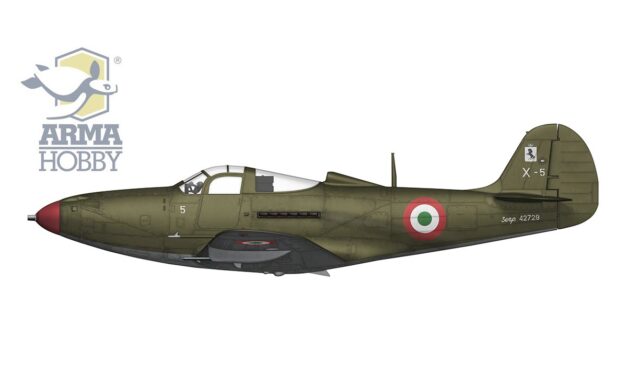 Italian Airacobra from 10th Squadron