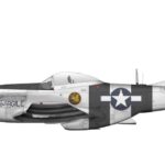 P-51K Mustang: “Fragile but Agile” in the Pacific War