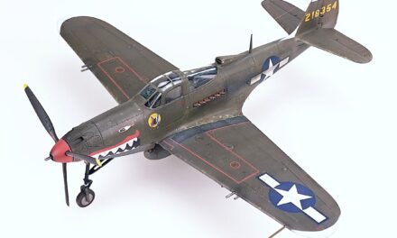 Second Cobra in 1/48 scale