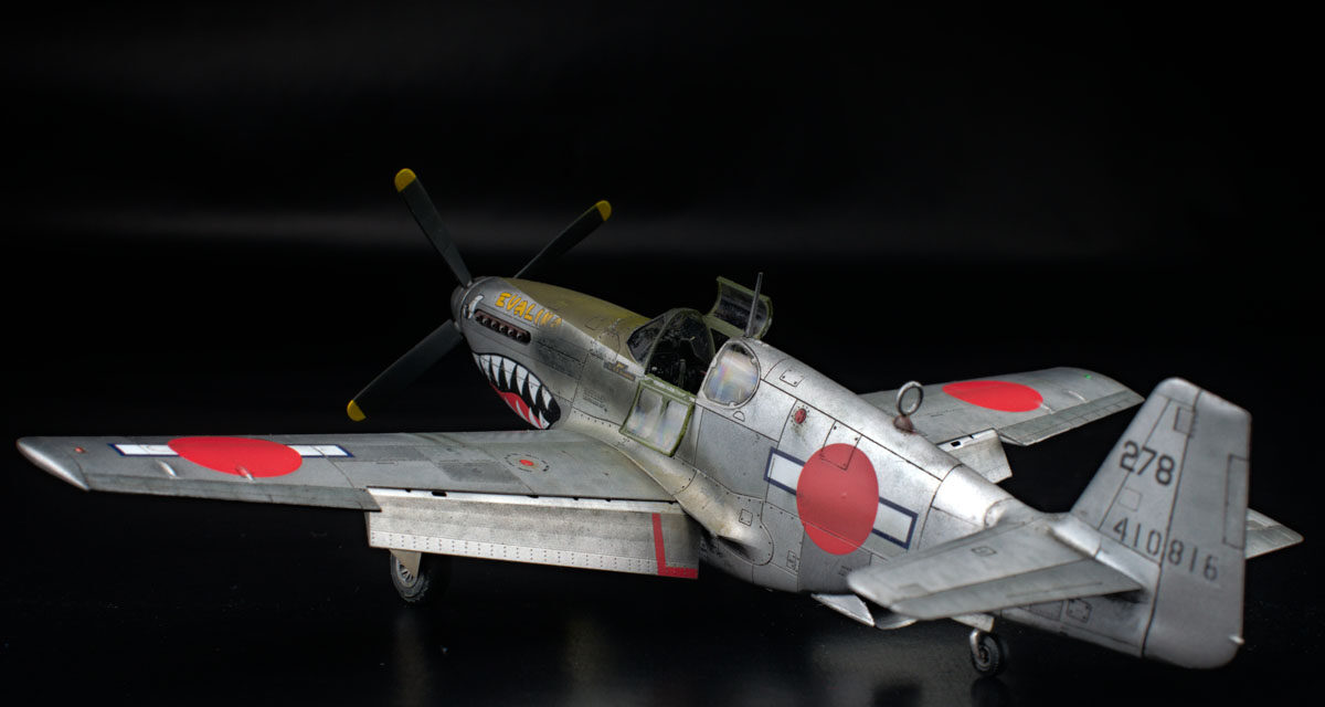 P-51 Mustang Evalina – Galeria – Łukasz Kulfan