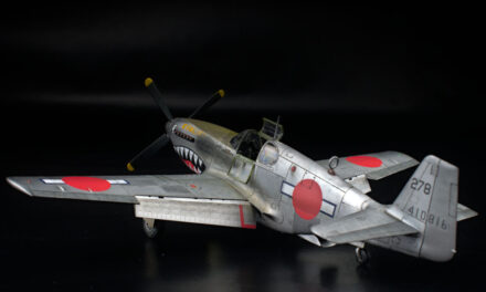 P-51 Mustang Evalina – Galeria – Łukasz Kulfan