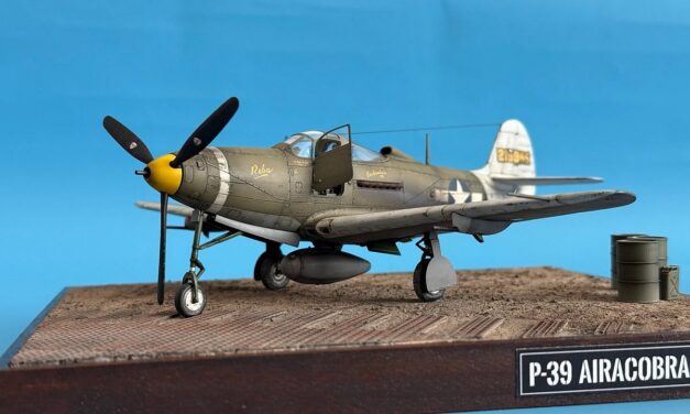 Recon Airacobra 1/48 – Gallery – Michal Teichman