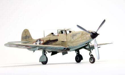 P-39Q Airacobra 1/48 – Gallery – Ayhan Toplu