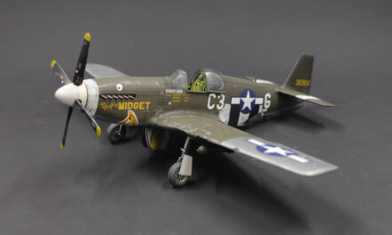 P-51B Mustang “Mighty Midget” – Nicolás Paredes Gallery