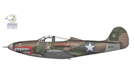 The P-400 over Guadalcanal