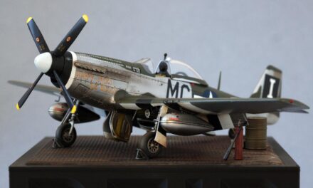 My Mustang – A Postscript to the Build