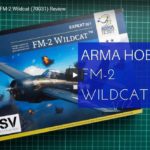 FM-2 Wildcat – Video inbox – Wiktor Mulin